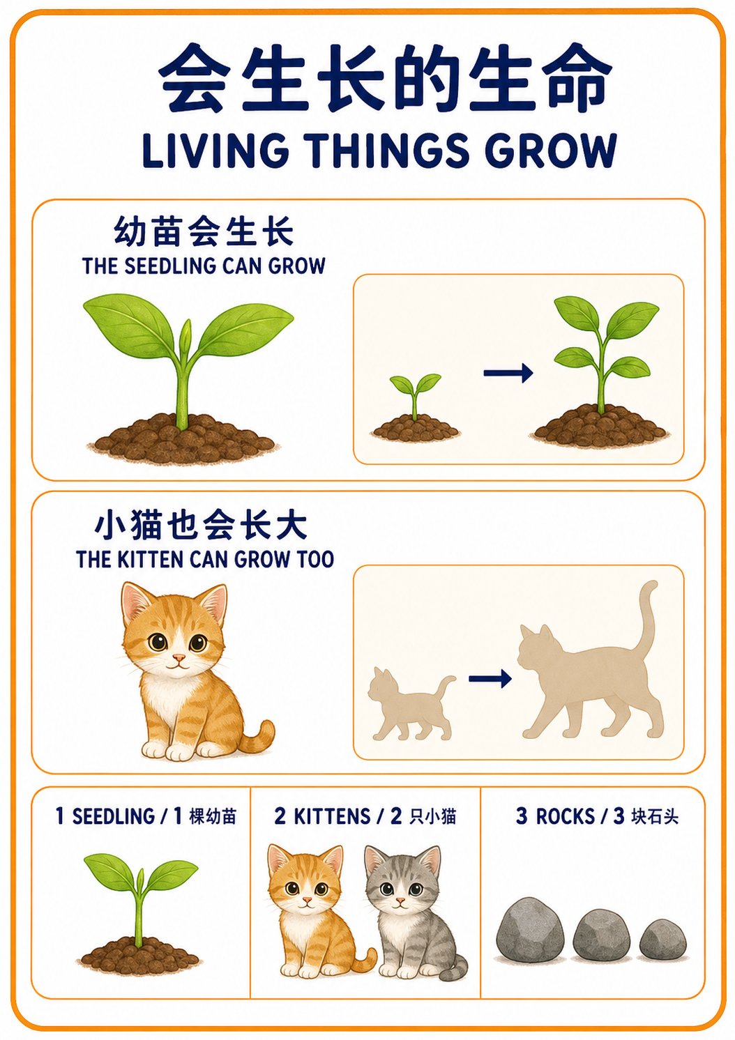 Living Things Grow teaching poster