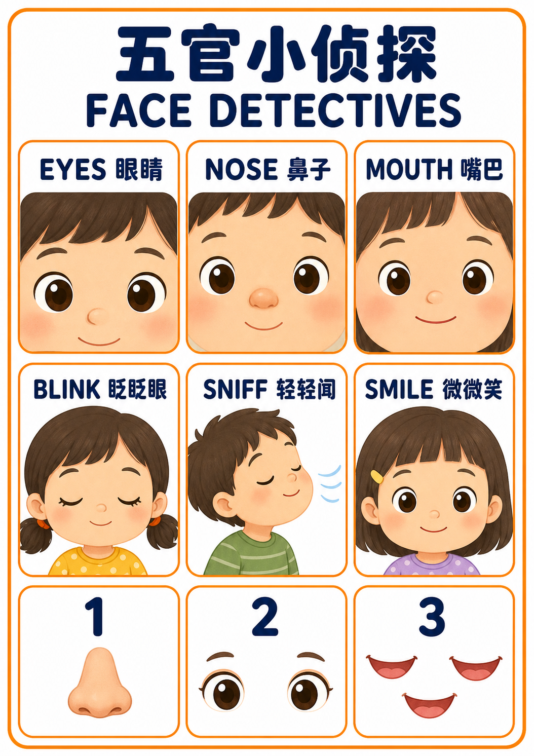 A4 Face Detectives teaching picture