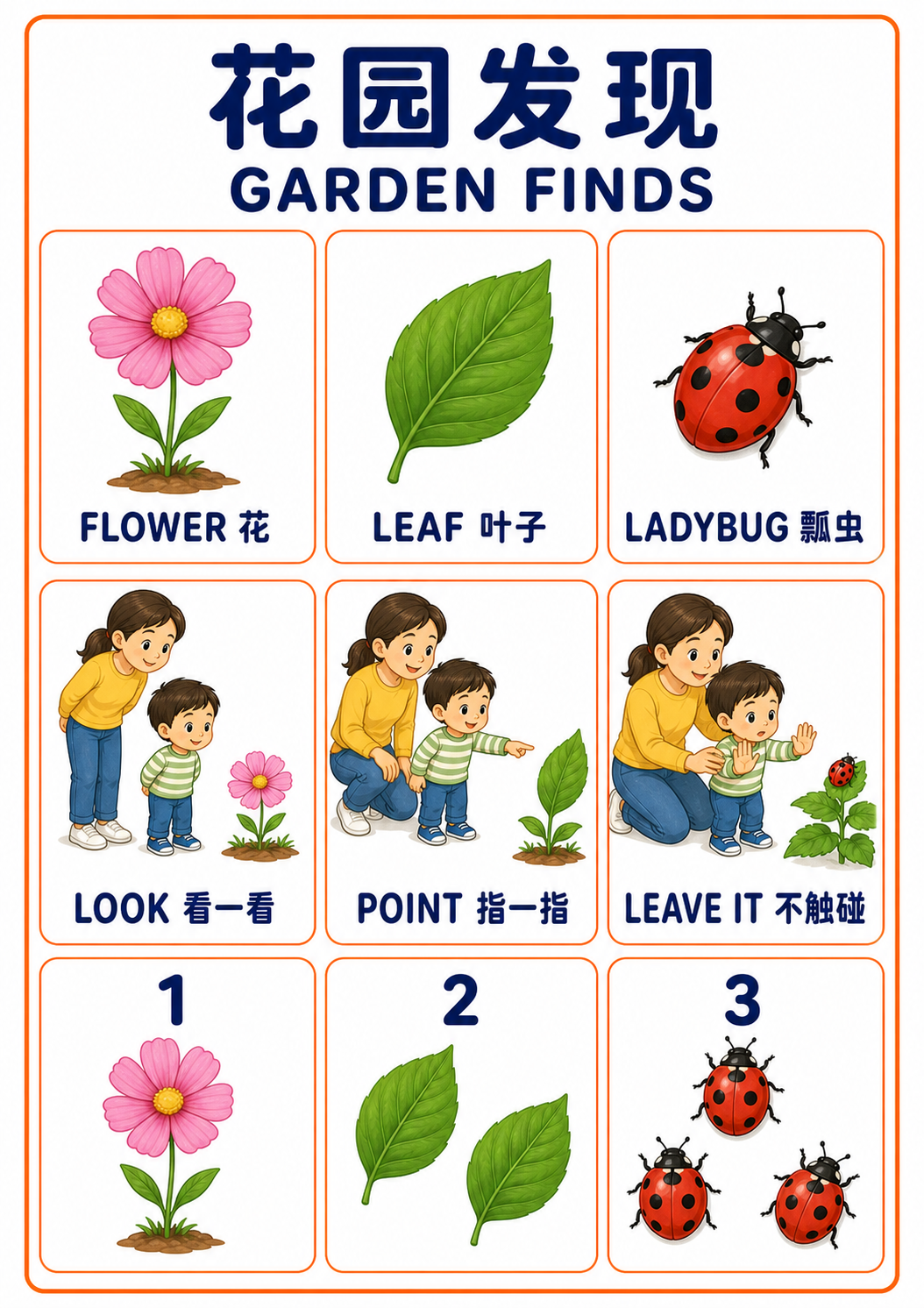 A4 Garden Finds teaching picture