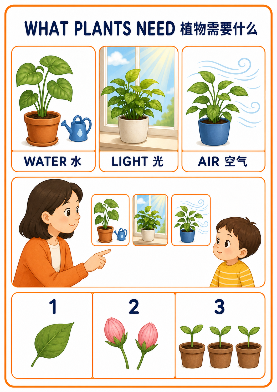 植物需要什么概念图
