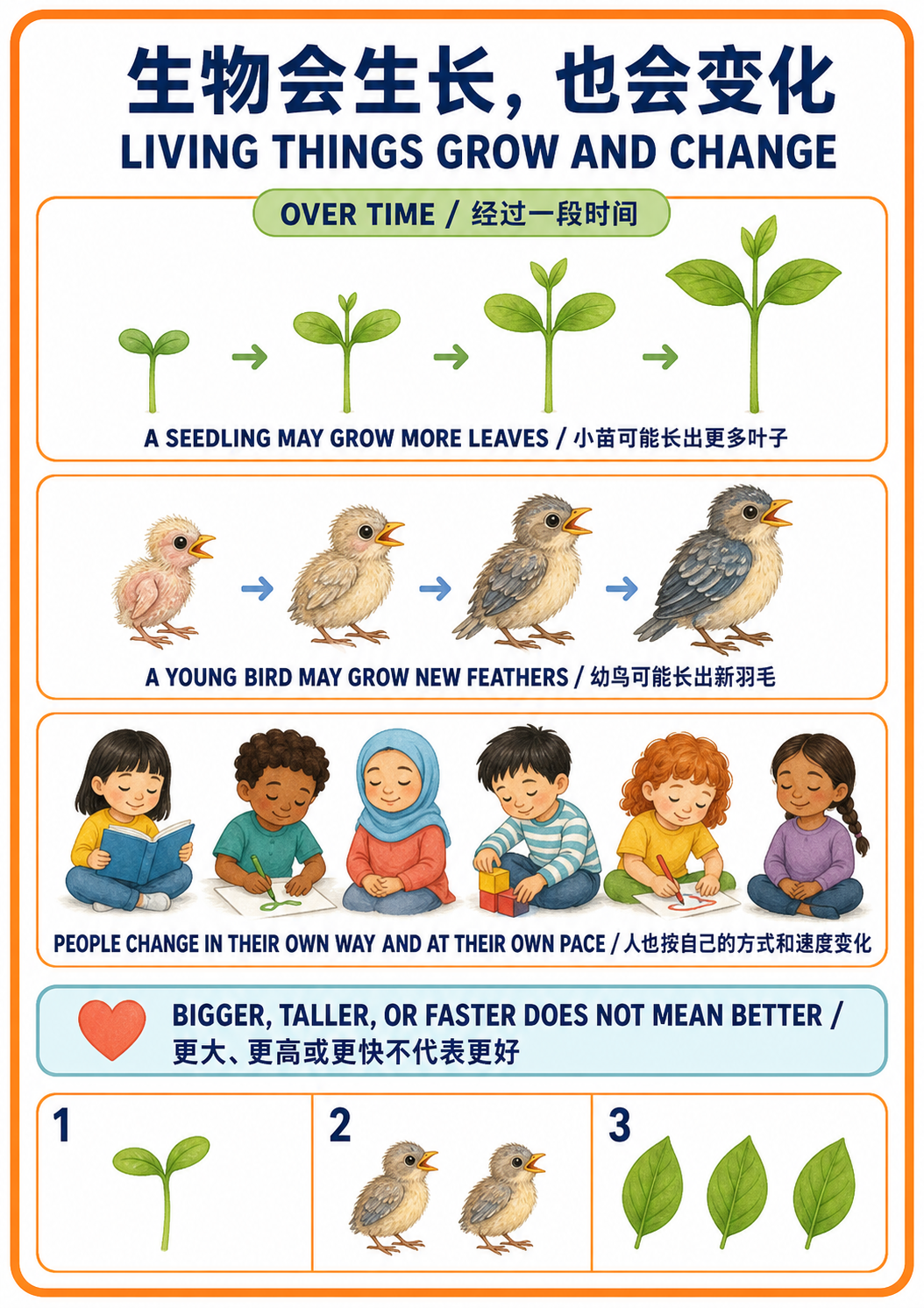 Living Things Grow and Change A4 teaching picture